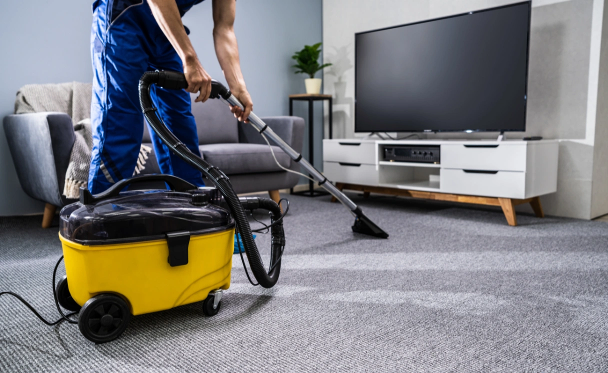 Extract Upholstery Cleaning Rye Contact Office